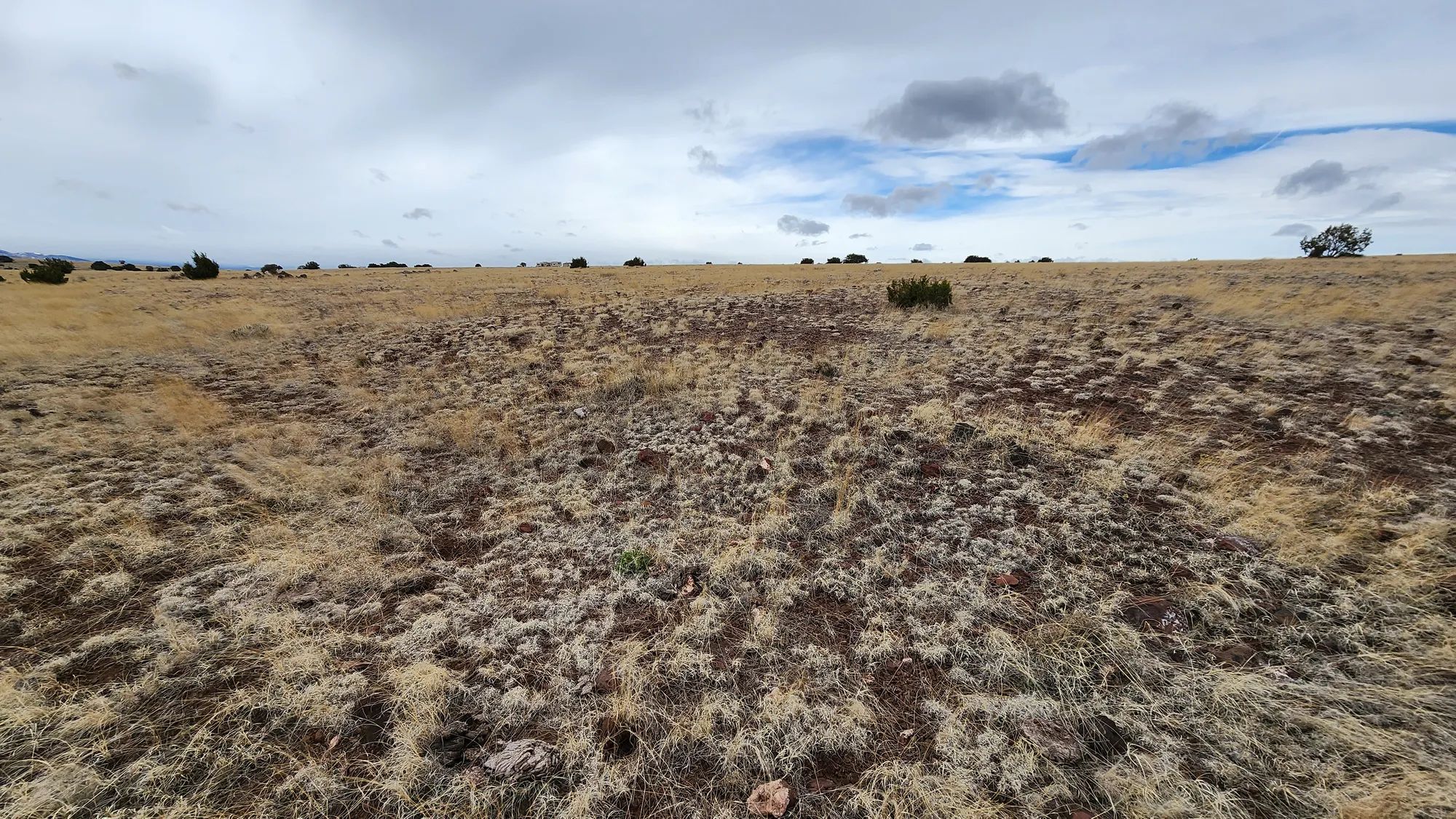 1.04 Acres in Apache County, AZ