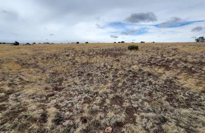 1.04 Acres in Apache County, AZ