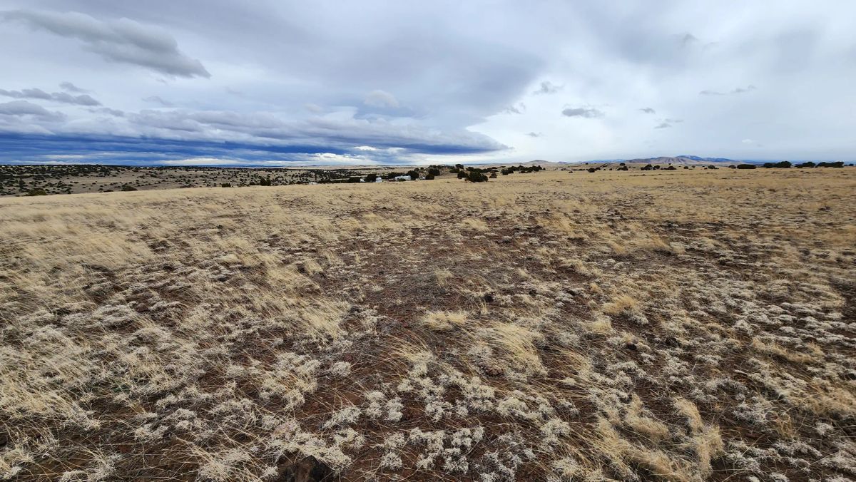 1.04 Acres in Apache County, AZ - Image 2