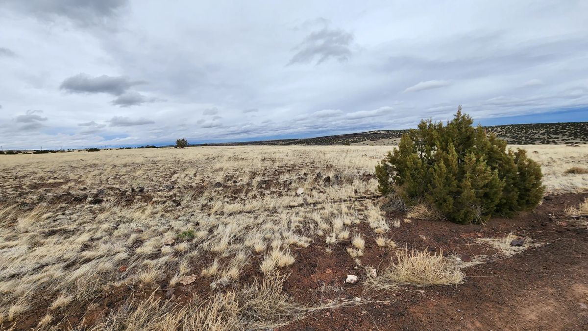 1.04 Acres in Apache County, AZ - Image 3