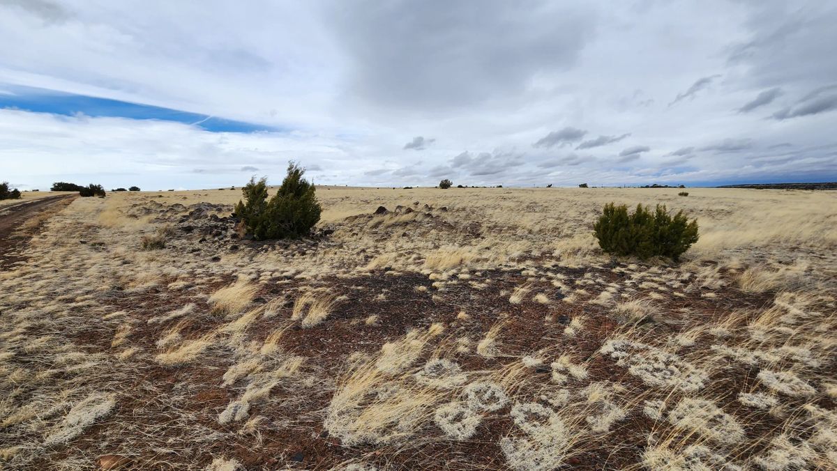 1.04 Acres in Apache County, AZ - Image 4