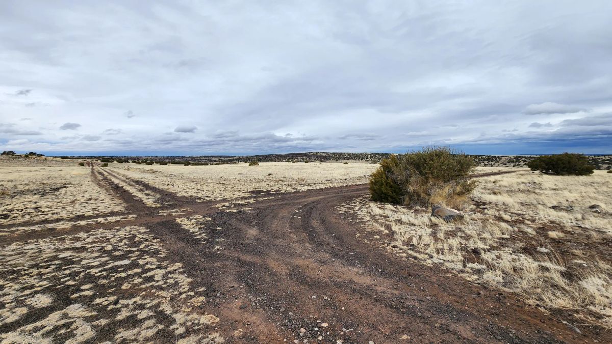 Decorative background for 1.04 Acres in Apache County, AZ image 5