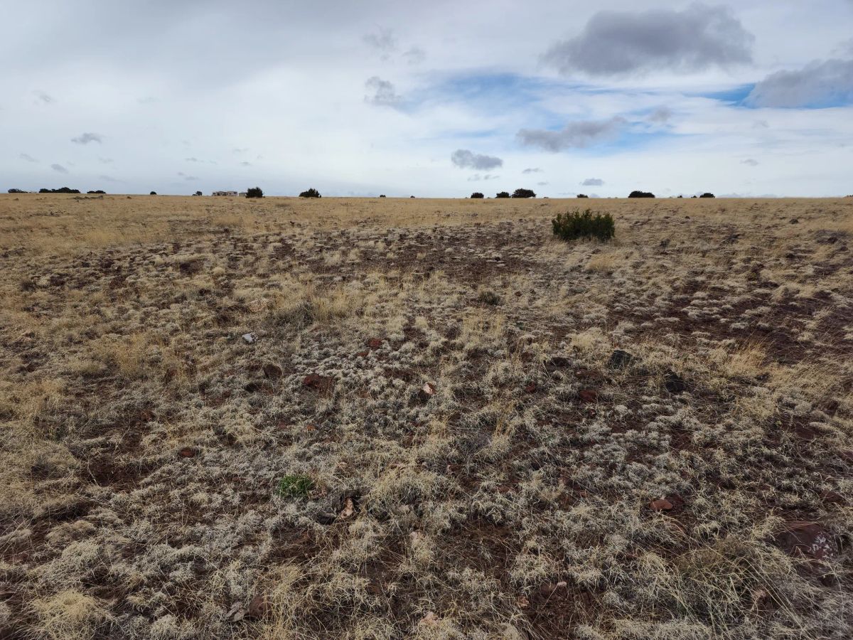 Decorative background for 1.04 Acres in Apache County, AZ image 6