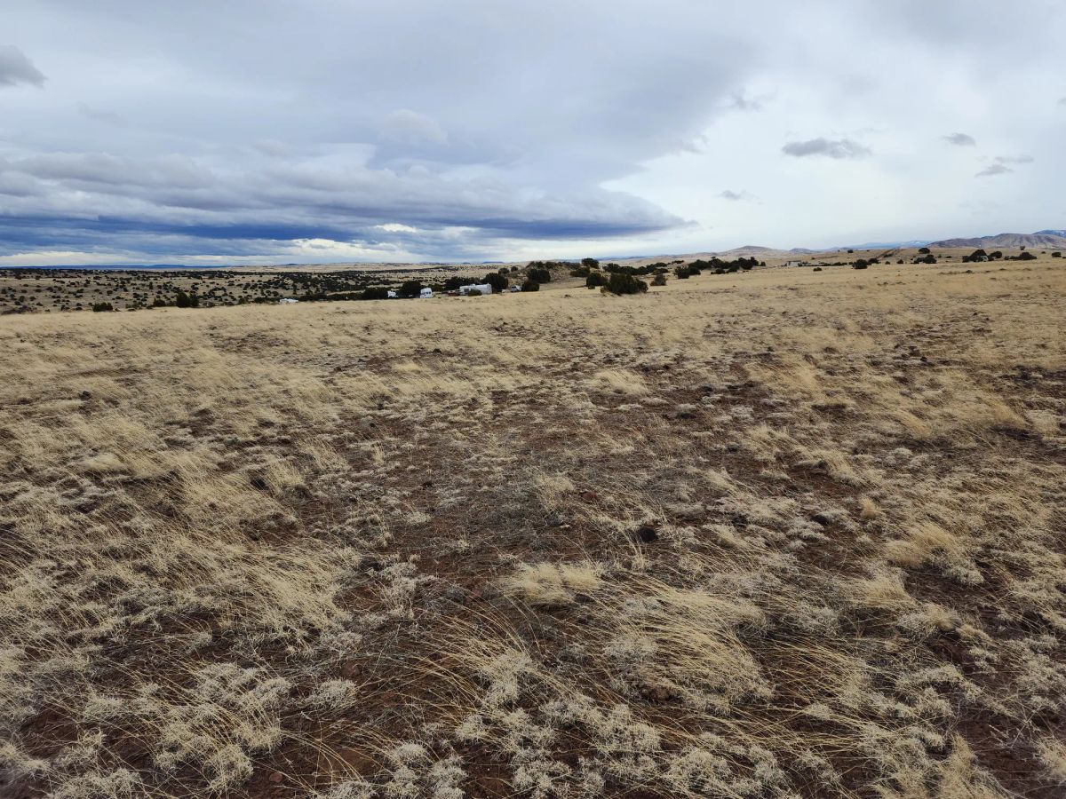 Decorative background for 1.04 Acres in Apache County, AZ image 7