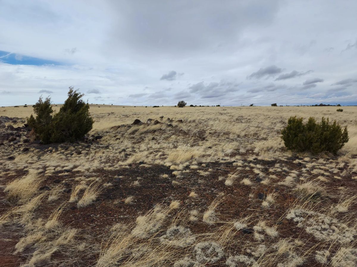 Decorative background for 1.04 Acres in Apache County, AZ image 8