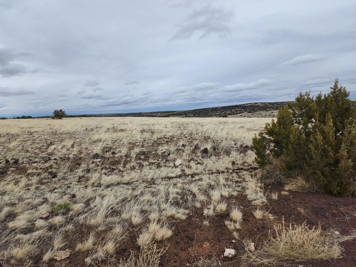 Decorative background for 1.04 Acres in Apache County, AZ image 9