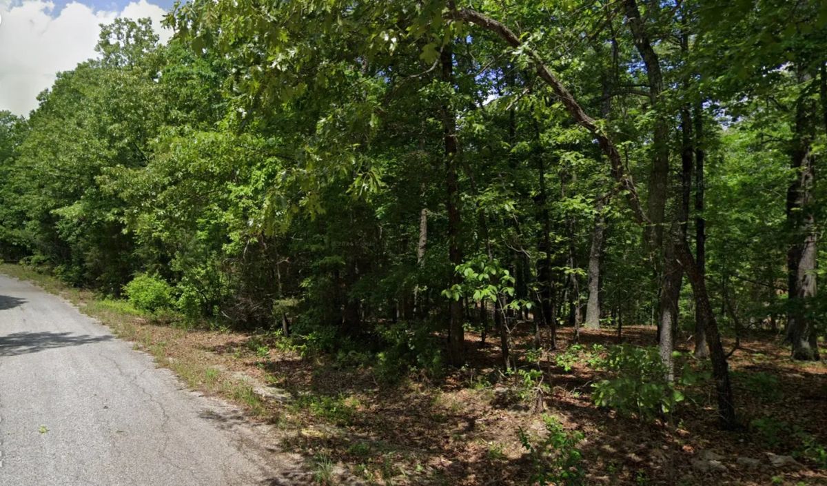 0.37 Acres in Izard County, AR - Image 2