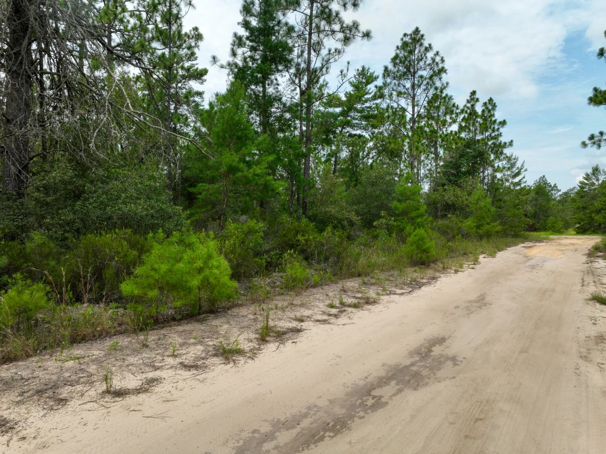 0.21 Acres in Putnam County, FL - Image 2