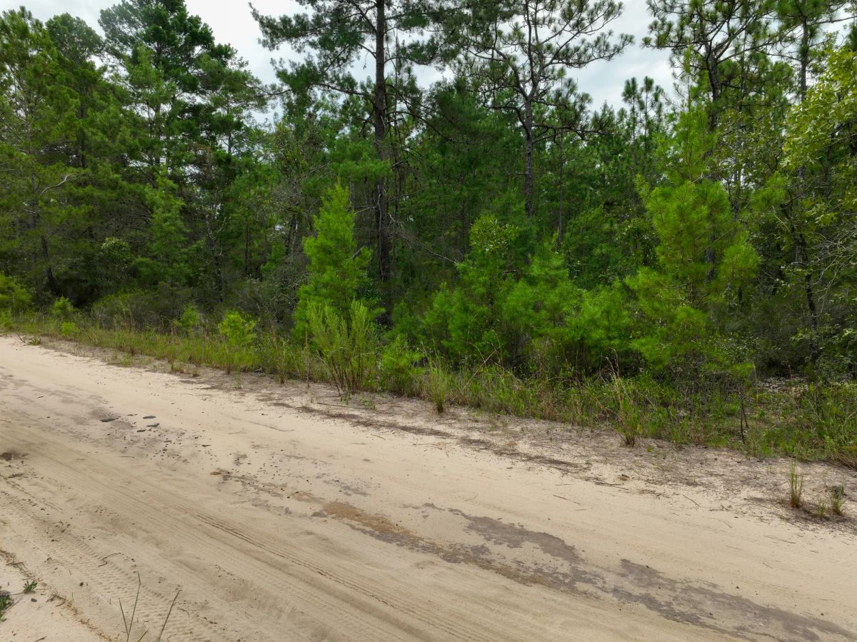 0.21 Acres in Putnam County, FL - Image 3