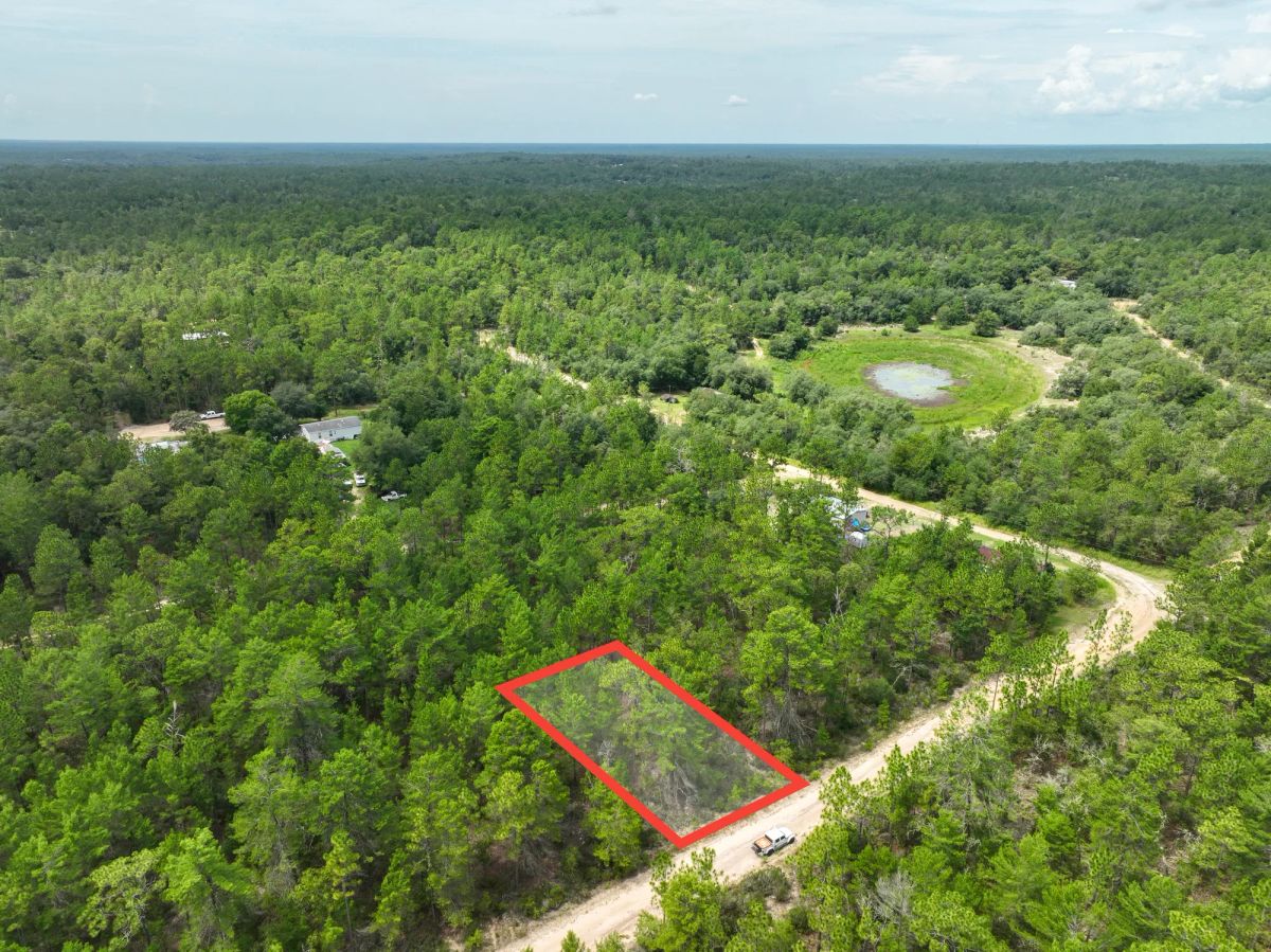 Decorative background for 0.21 Acres in Putnam County, FL image 5