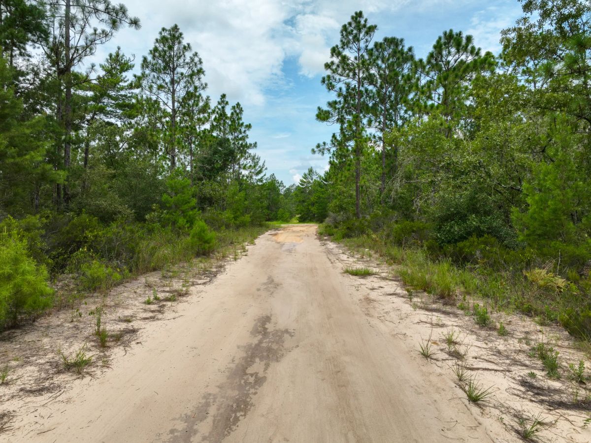 Decorative background for 0.21 Acres in Putnam County, FL image 6