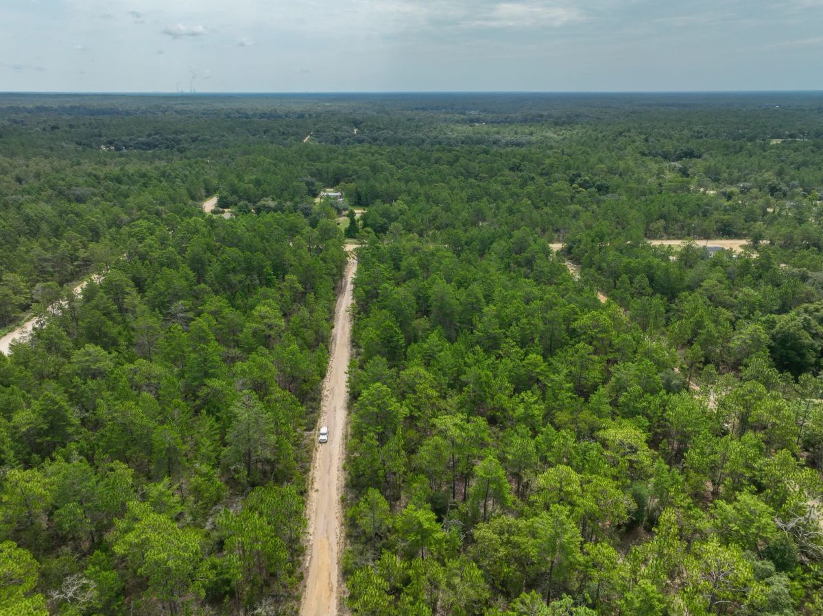 Decorative background for 0.21 Acres in Putnam County, FL image 7