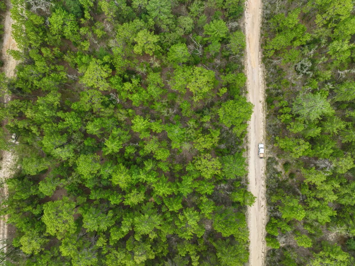 Decorative background for 0.21 Acres in Putnam County, FL image 8