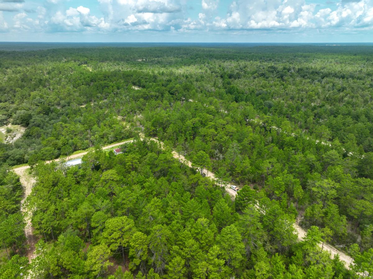 Decorative background for 0.21 Acres in Putnam County, FL image 9