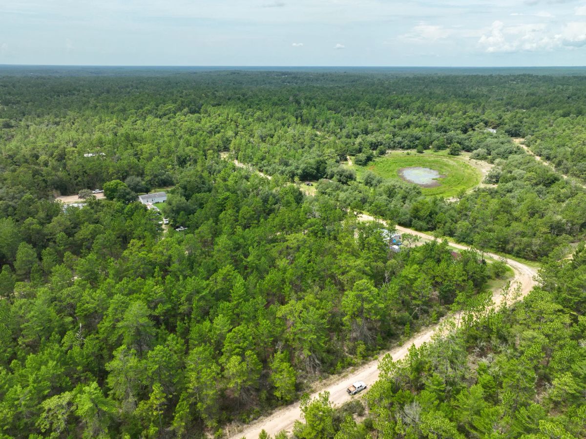 Decorative background for 0.21 Acres in Putnam County, FL image 10