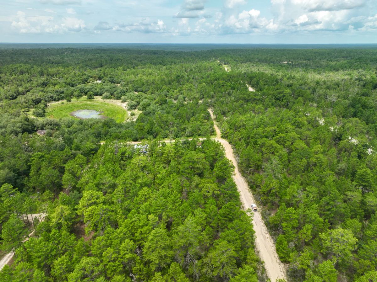 Decorative background for 0.21 Acres in Putnam County, FL image 11