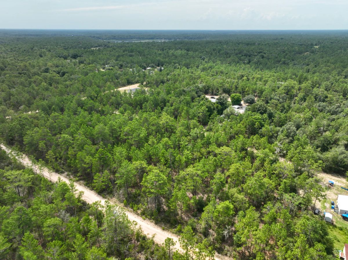 Decorative background for 0.21 Acres in Putnam County, FL image 13