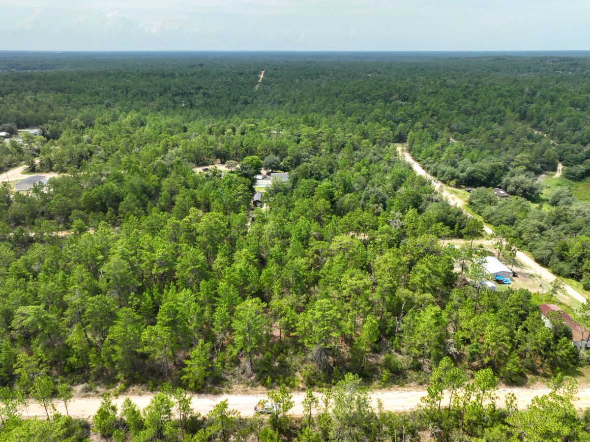 Decorative background for 0.21 Acres in Putnam County, FL image 14