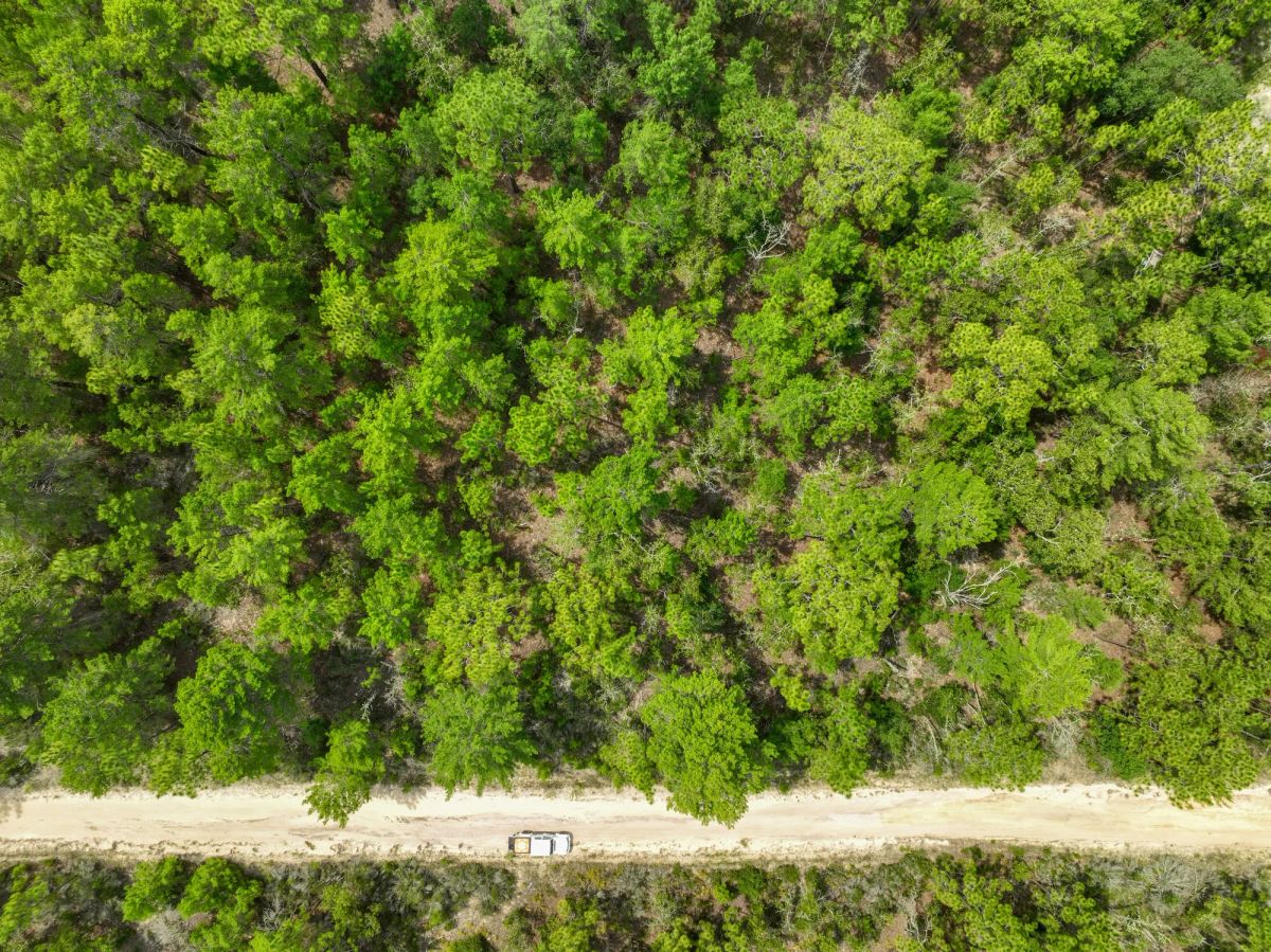 Decorative background for 0.21 Acres in Putnam County, FL image 15