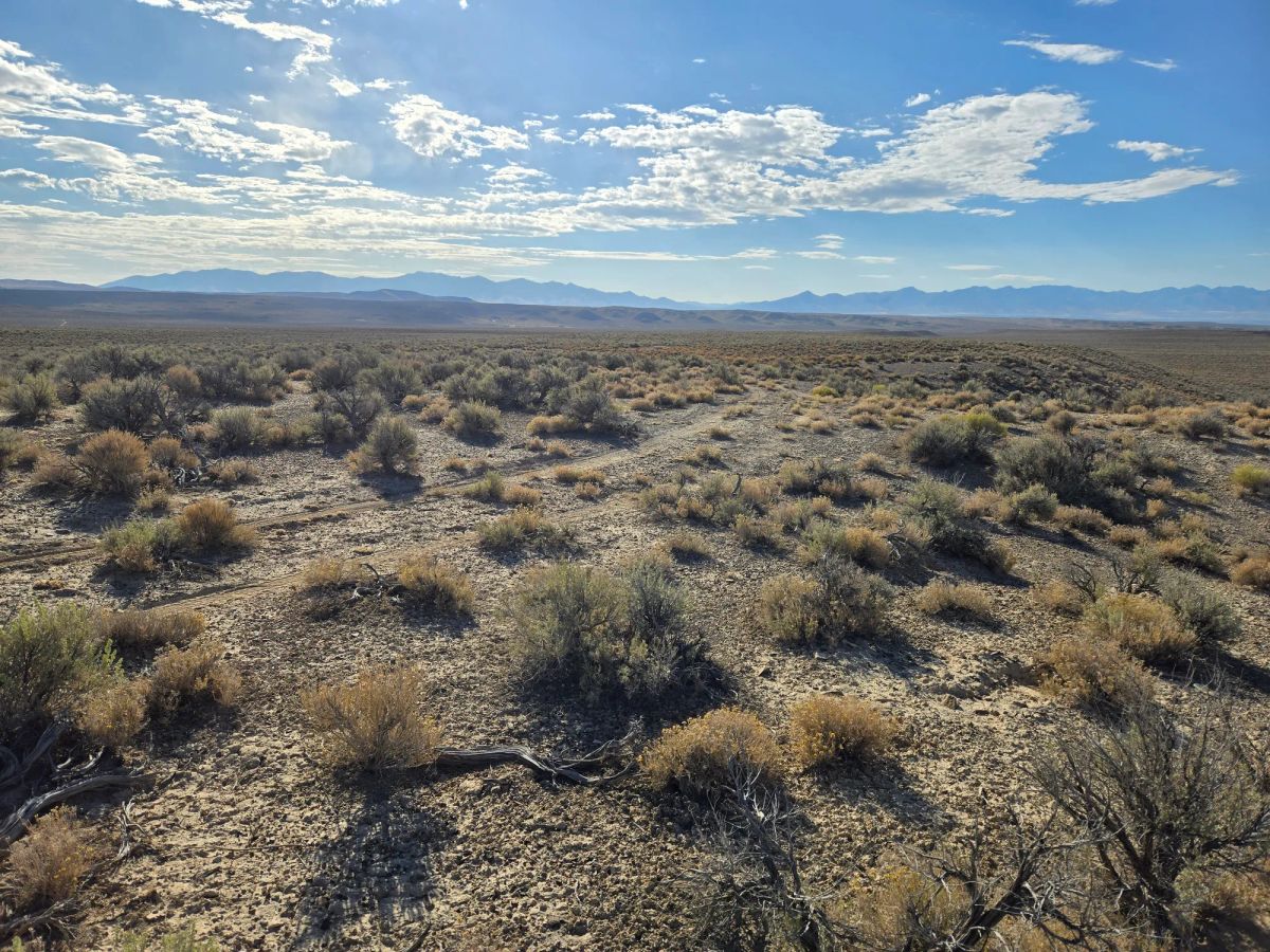 20 Acres in Elko County, NV - Main image