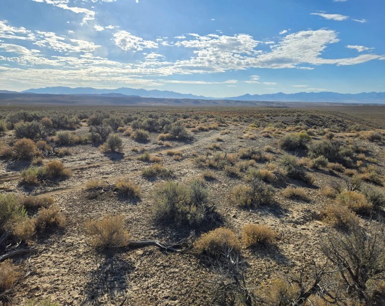 20 Acres in Elko County, NV in Elko County, NV