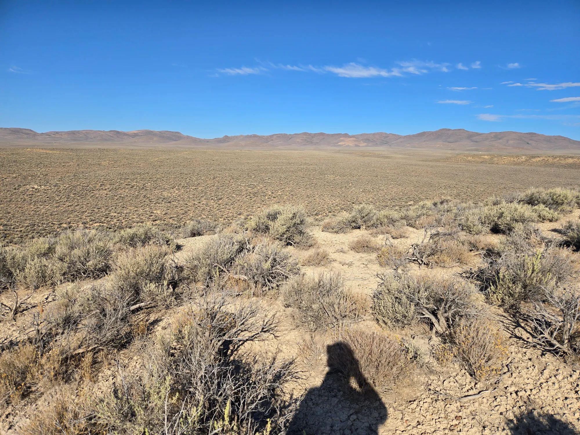 20 Acres in Elko County, NV in Elko County, NV