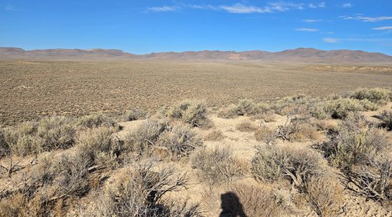 20 Acres in Elko County, NV in Elko County, NV