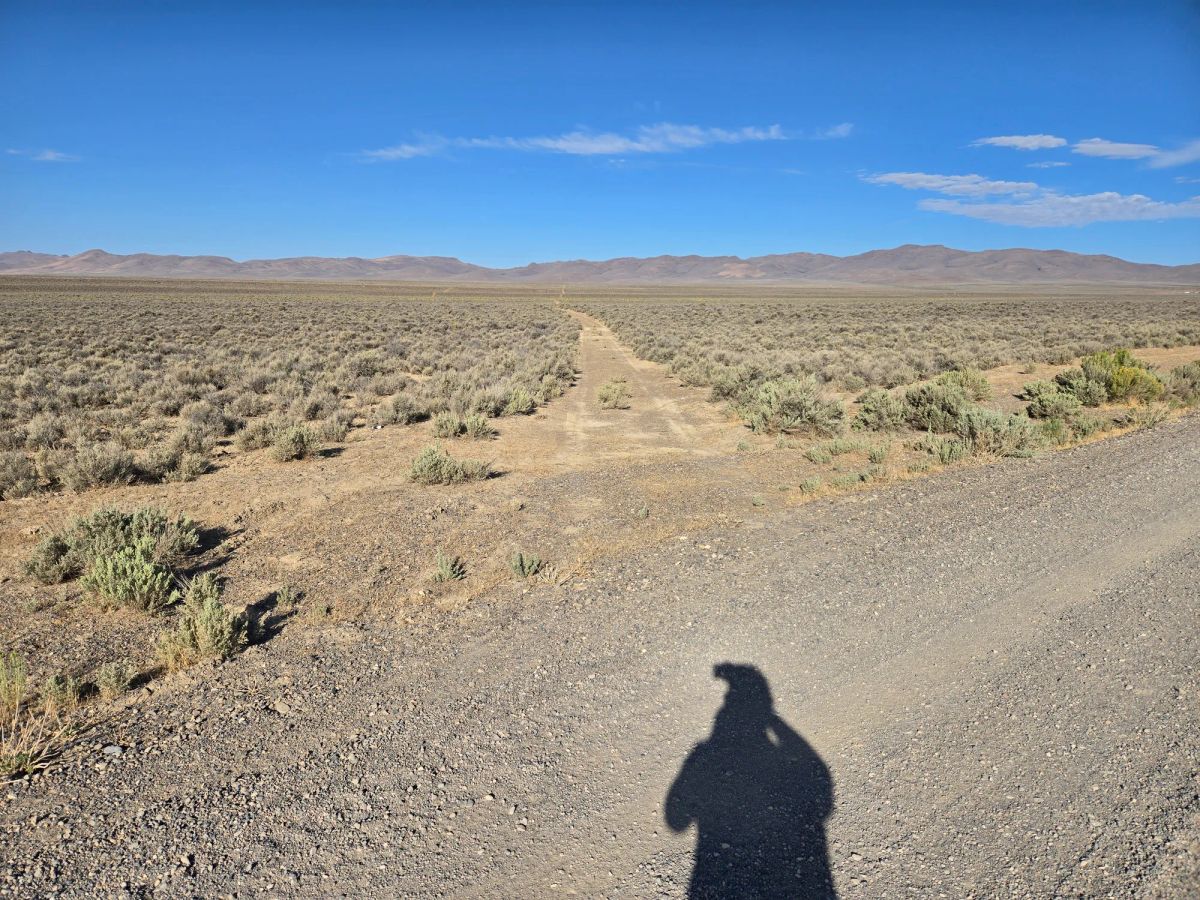 20 Acres in Elko County, NV - Image 3