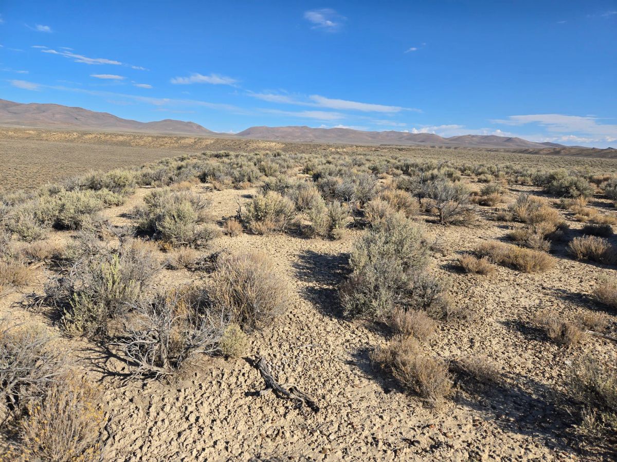 20 Acres in Elko County, NV - Image 4