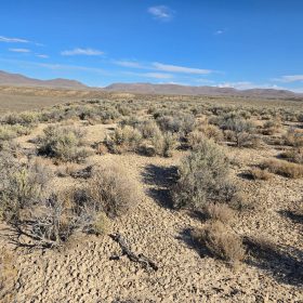 20 Acres in Elko County, NV in Elko County, NV