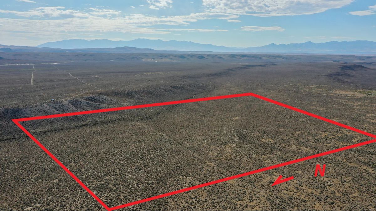 Decorative background for 20 Acres in Elko County, NV image 5
