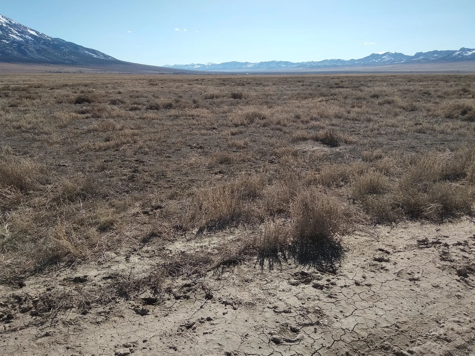 10.61 Acres in Elko County, NV in Elko County, NV