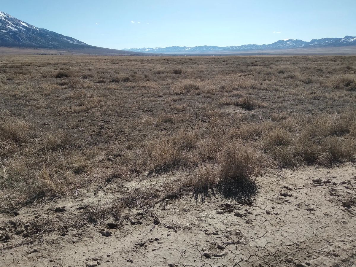 10.61 Acres in Elko County, NV - Image 4
