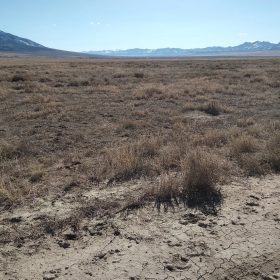 10.61 Acres in Elko County, NV in Elko County, NV
