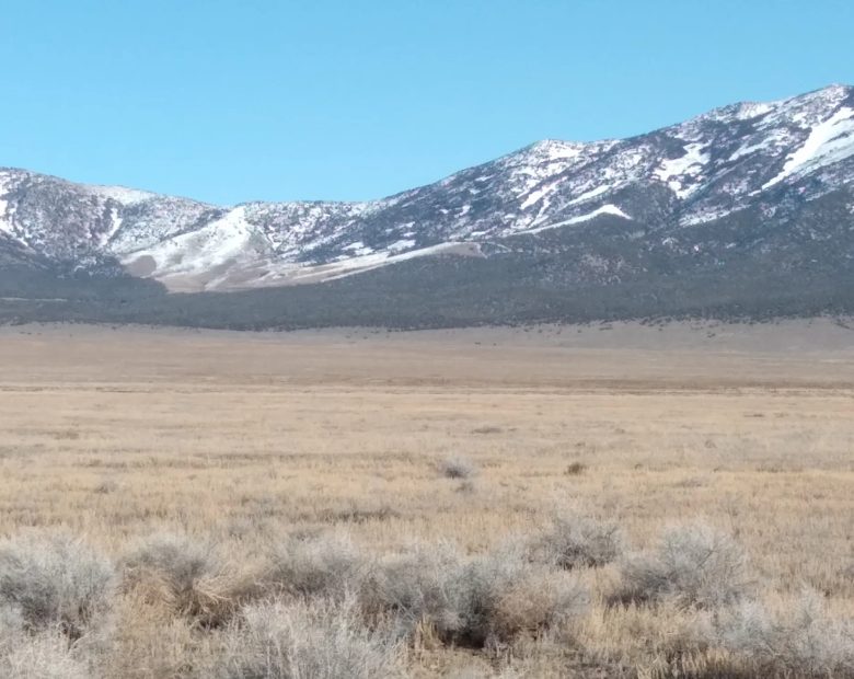 10.11 Acres in Elko County, NV in Elko County, NV