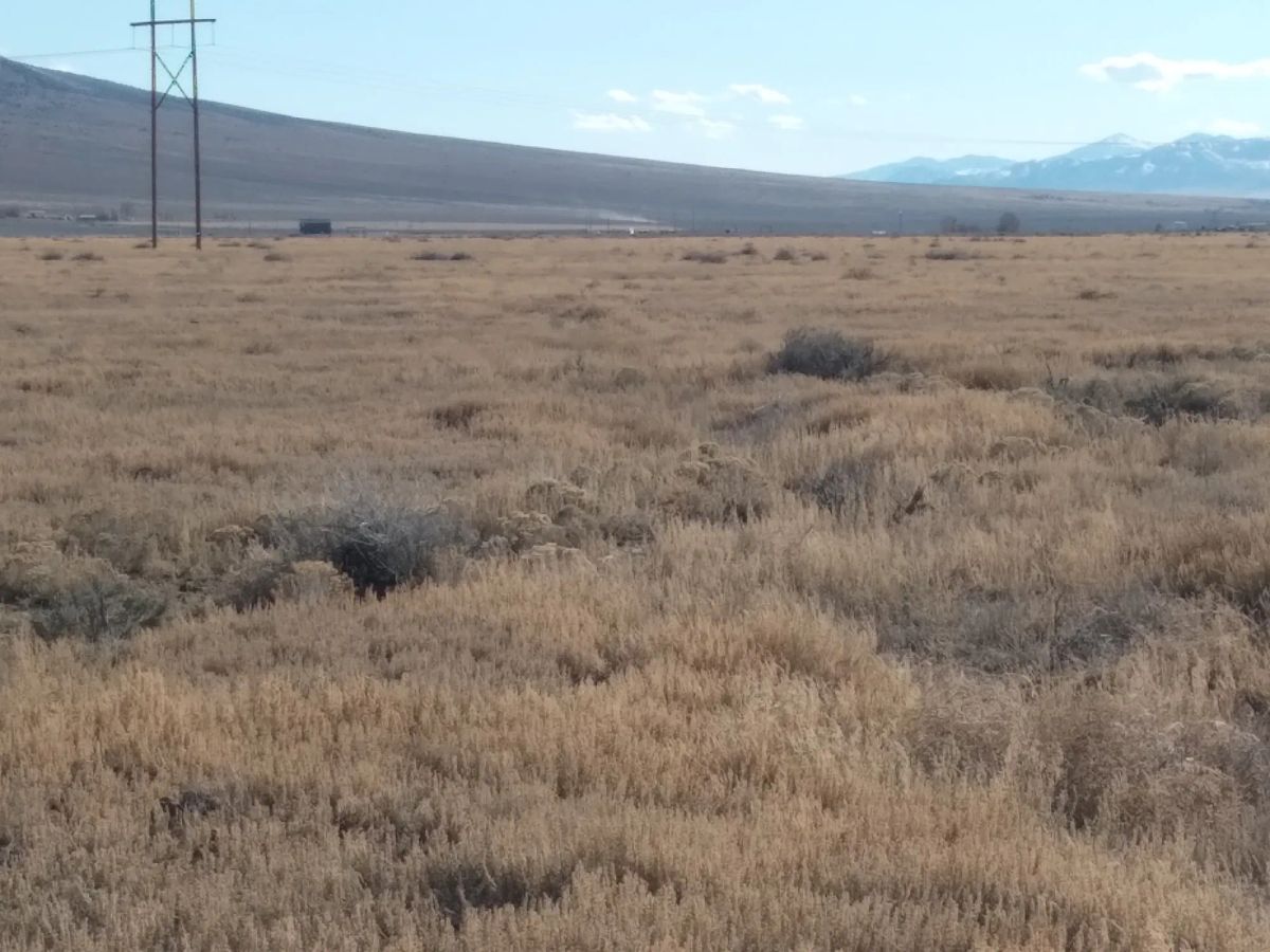 10.11 Acres in Elko County, NV - Image 4
