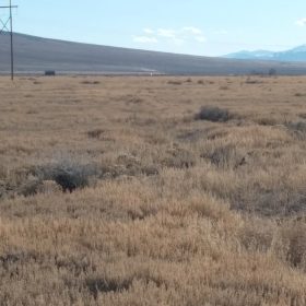10.11 Acres in Elko County, NV in Elko County, NV