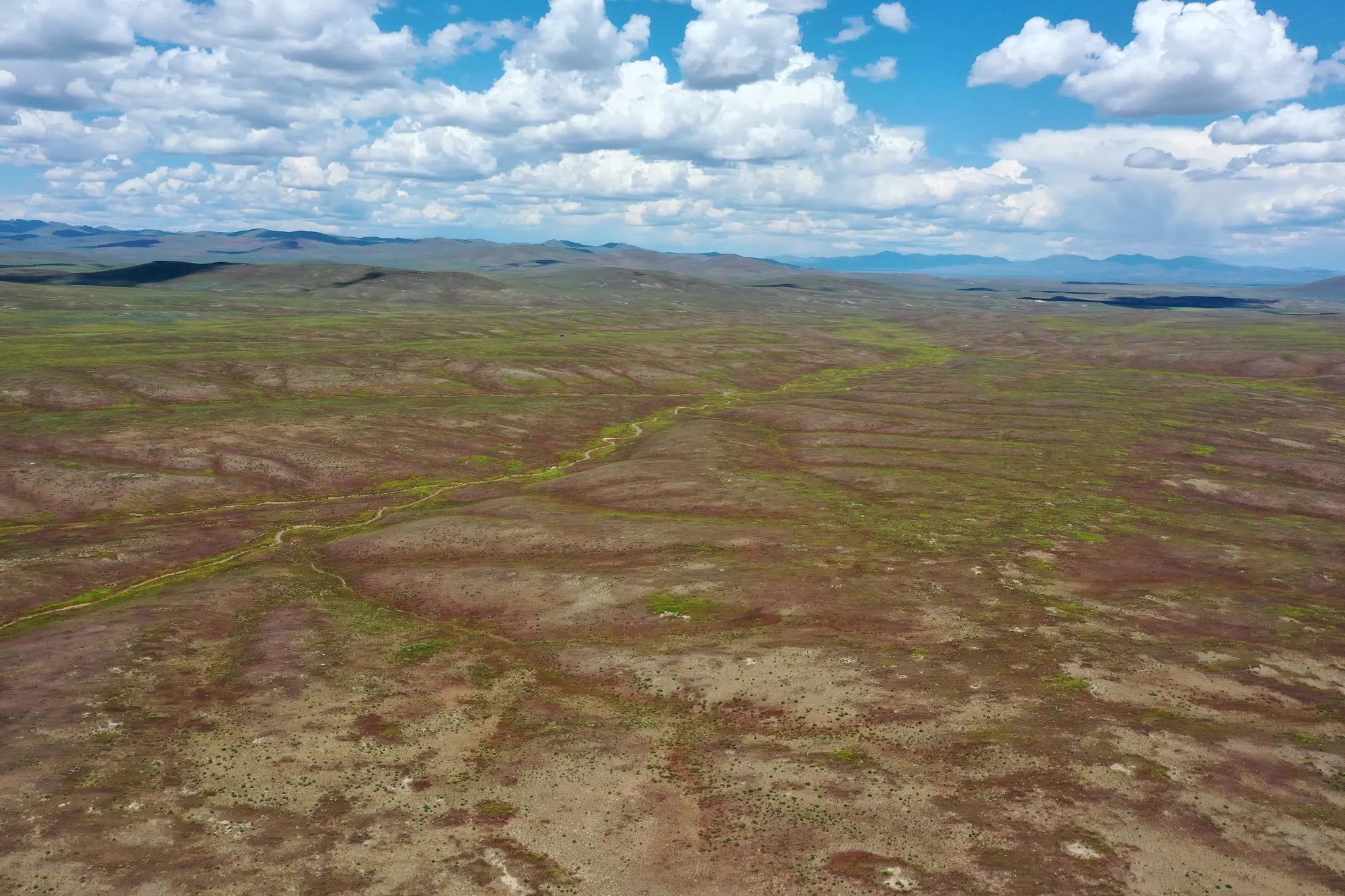 40 Acres in Elko County, NV in Elko County, NV