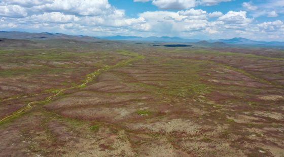 40 Acres in Elko County, NV in Elko County, NV