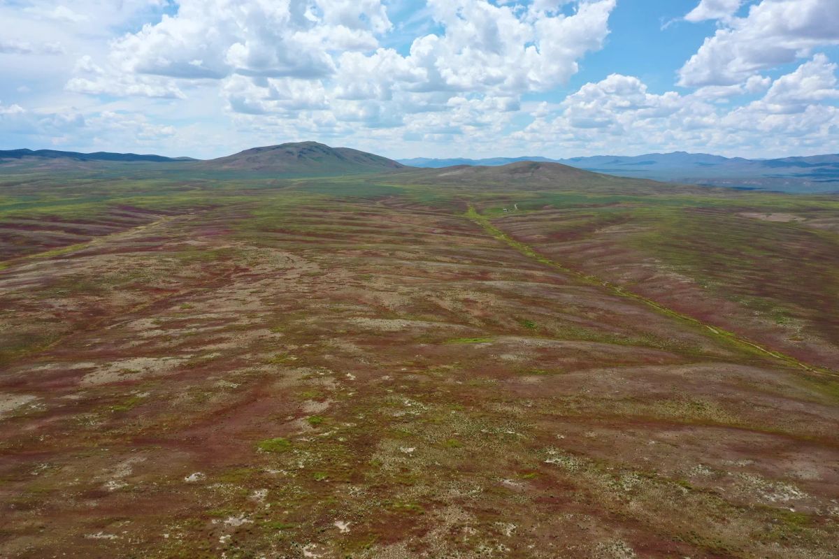 40 Acres in Elko County, NV - Image 3