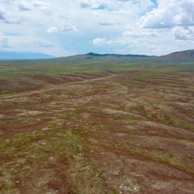 40 Acres in Elko County, NV in Elko County, NV