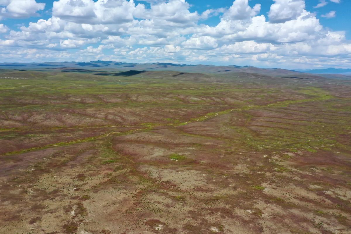Decorative background for 40 Acres in Elko County, NV image 5