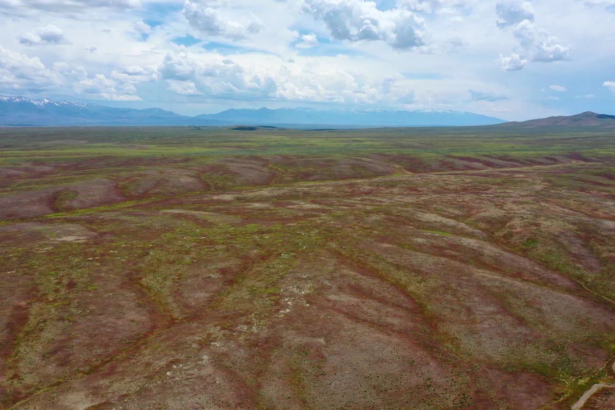 Decorative background for 40 Acres in Elko County, NV image 7