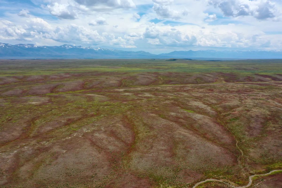 Decorative background for 40 Acres in Elko County, NV image 9