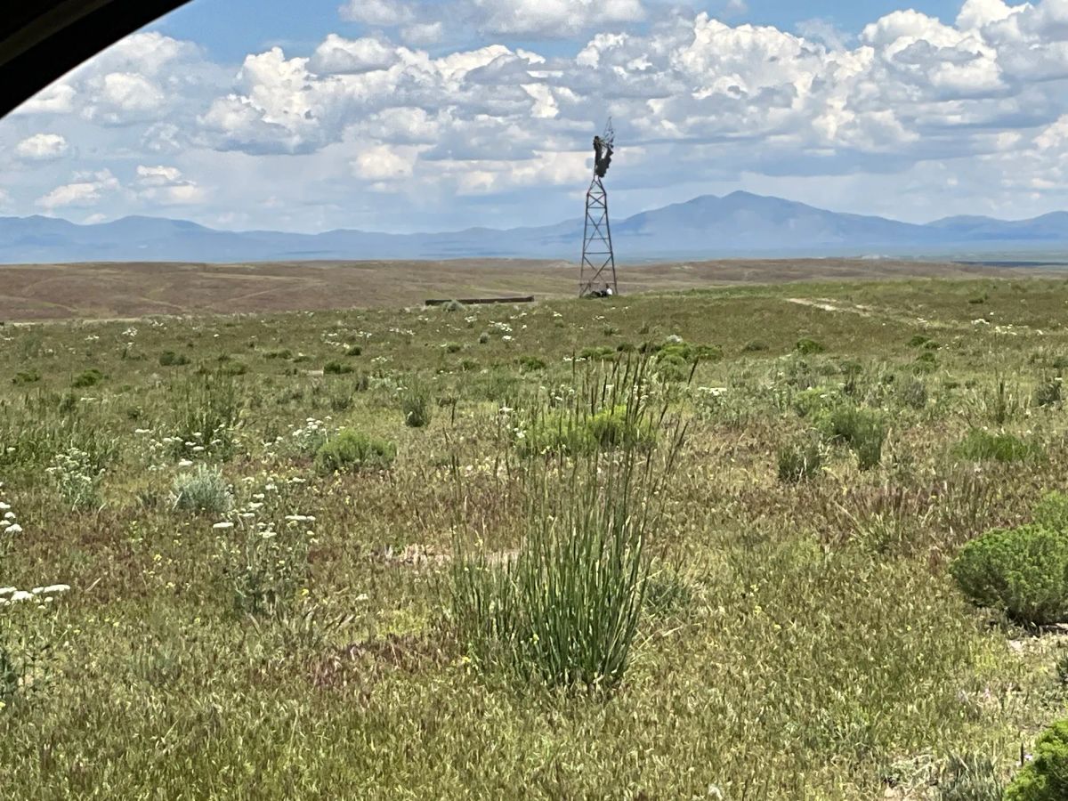 Decorative background for 40 Acres in Elko County, NV image 10