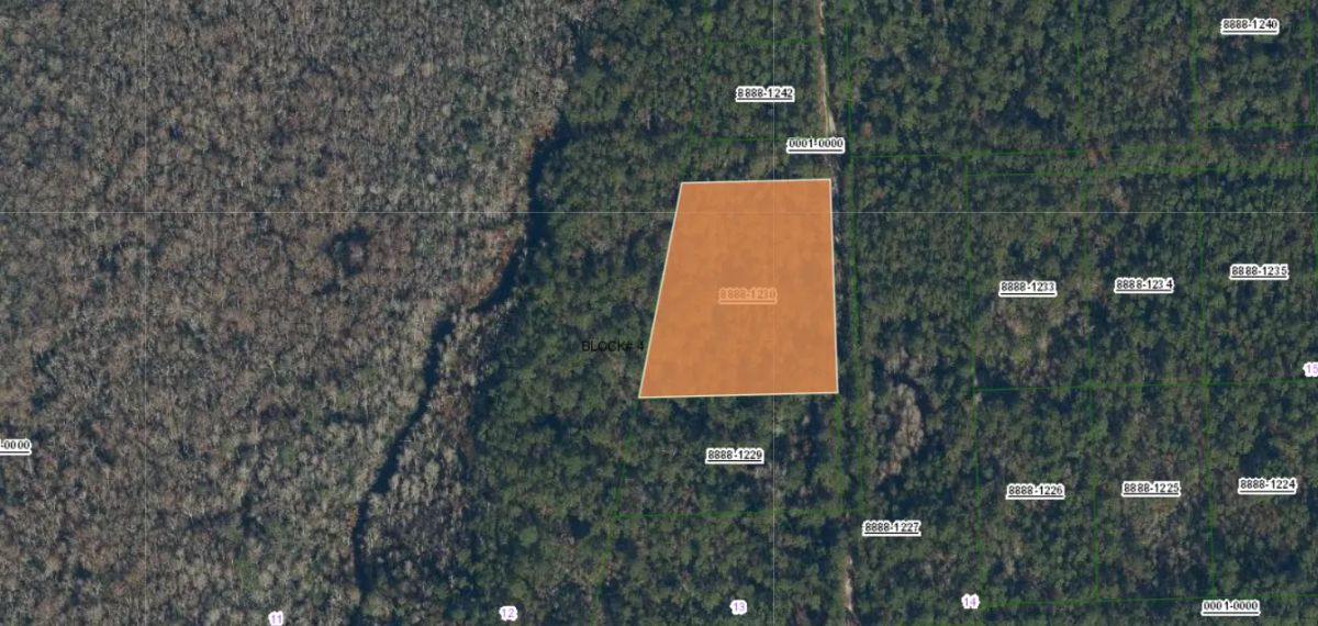 1.48 Acres in Putnam County, FL - Image 3