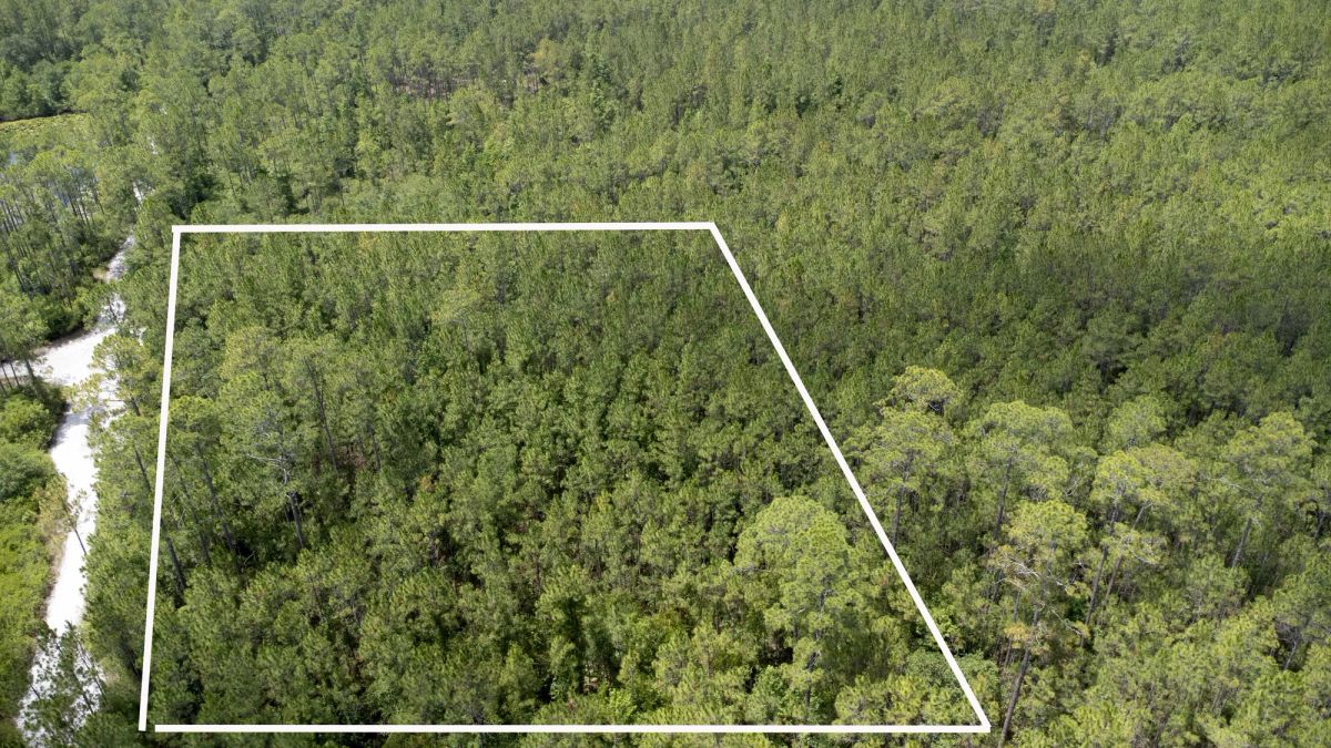 1.48 Acres in Putnam County, FL - Image 4