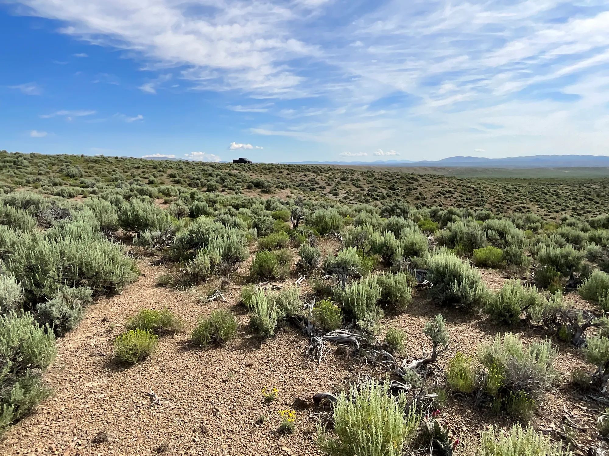 40 Acres in Elko County, NV in Elko County, NV
