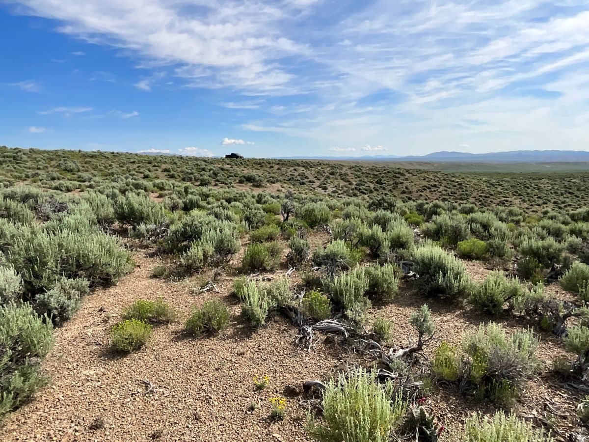 40 Acres in Elko County, NV - Image 2