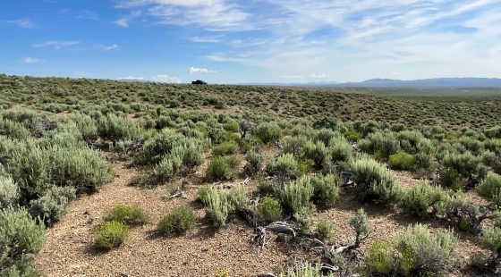 40 Acres in Elko County, NV in Elko County, NV